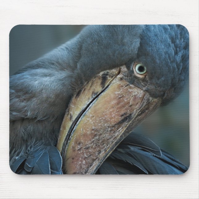 Alfombrilla De Ratón Shoebill Gel Mouse Mat (Frente)