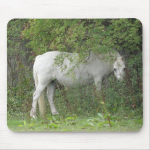 Alfombrilla De Ratón Shy White Horse Mousepad
