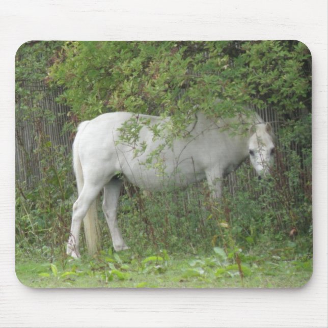 Alfombrilla De Ratón Shy White Horse Mousepad (Frente)