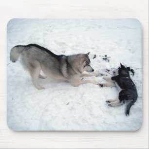 Alfombrilla De Ratón Siberian Huskies - Mousepad