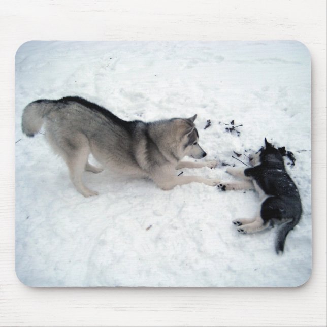 Alfombrilla De Ratón Siberian Huskies - Mousepad (Frente)