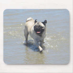 Alfombrilla De Ratón Sid the Pug en Dog Beach, San Diego, CA
