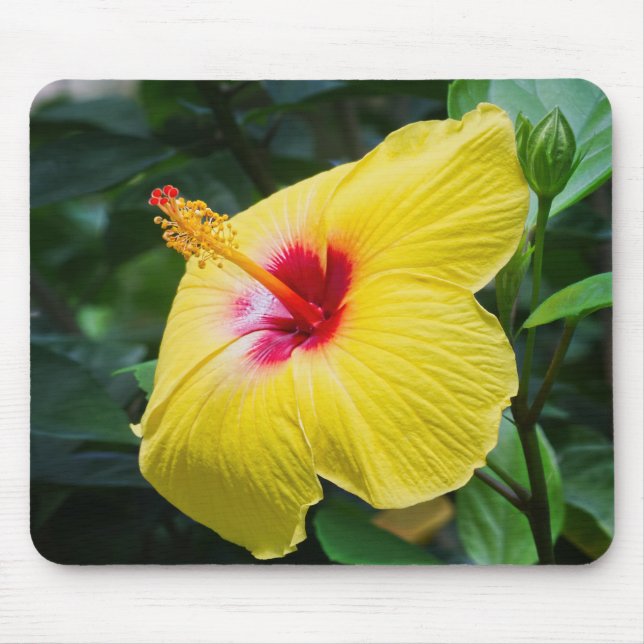 Alfombrilla De Ratón Sideview en amarillo hibiscus (Frente)