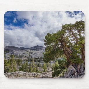 Alfombrilla De Ratón Sierra Juniper y árboles de hoja perenne