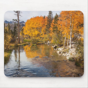 Alfombrilla De Ratón Sierra Oriental, Bishop Creek, California Outlet