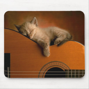 Alfombrilla De Ratón Siesta del gatito sobre guitarra