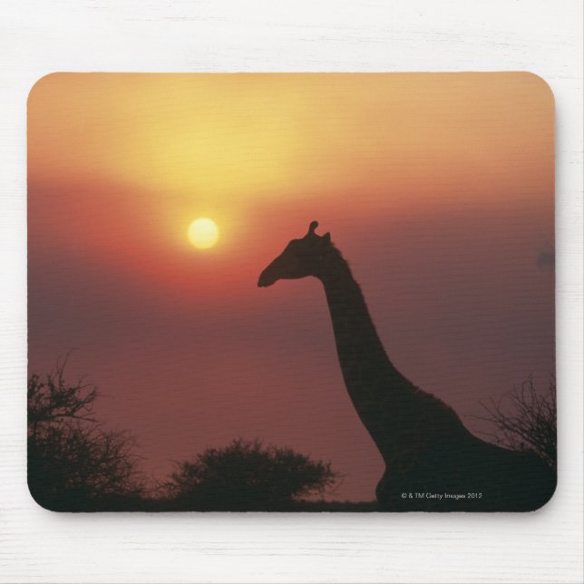 Alfombrilla De Ratón Silhouette de Giraffe (Giraffa Camelopardalis) (Frente)