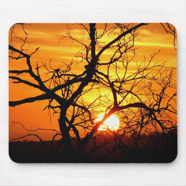 Alfombrilla De Ratón Silhouette Mousepads de árbol de la puesta del sol (Frente)