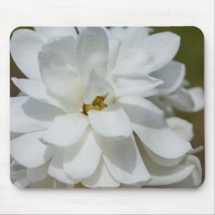 Alfombrilla De Ratón Silky Magnolia