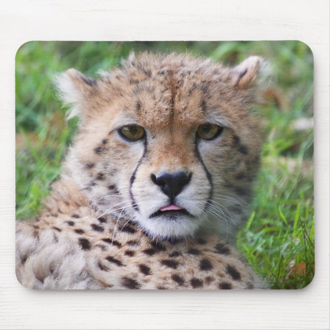 Alfombrilla De Ratón Silly Cheetah Cub (Frente)