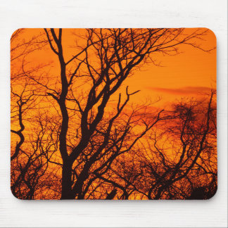 Alfombrilla De Ratón Silueta Mousepad del árbol de nuez