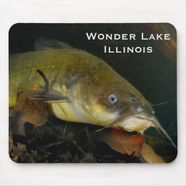 Alfombrilla De Ratón Siluro Mousepad (Frente)