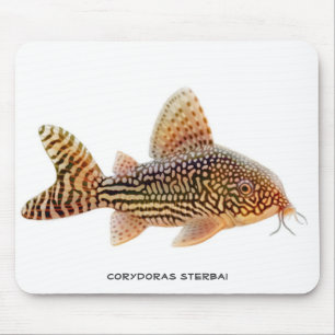 Alfombrilla De Ratón Siluro Mousepad de Corydoras Sterbai