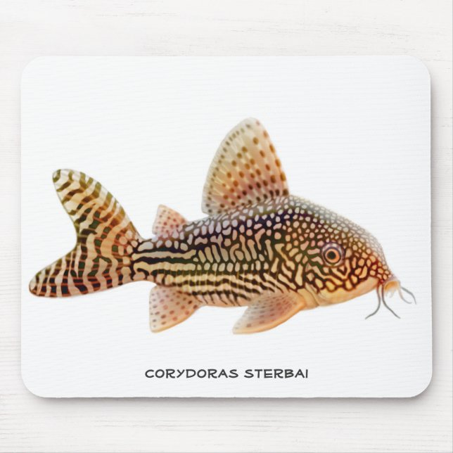 Alfombrilla De Ratón Siluro Mousepad de Corydoras Sterbai (Frente)