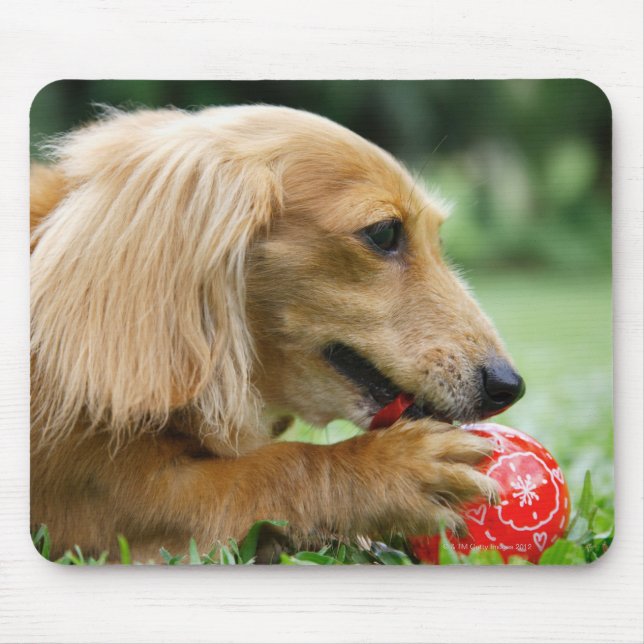 Alfombrilla De Ratón Singapur 10 (Frente)