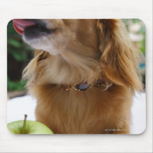 Alfombrilla De Ratón Singapur 5