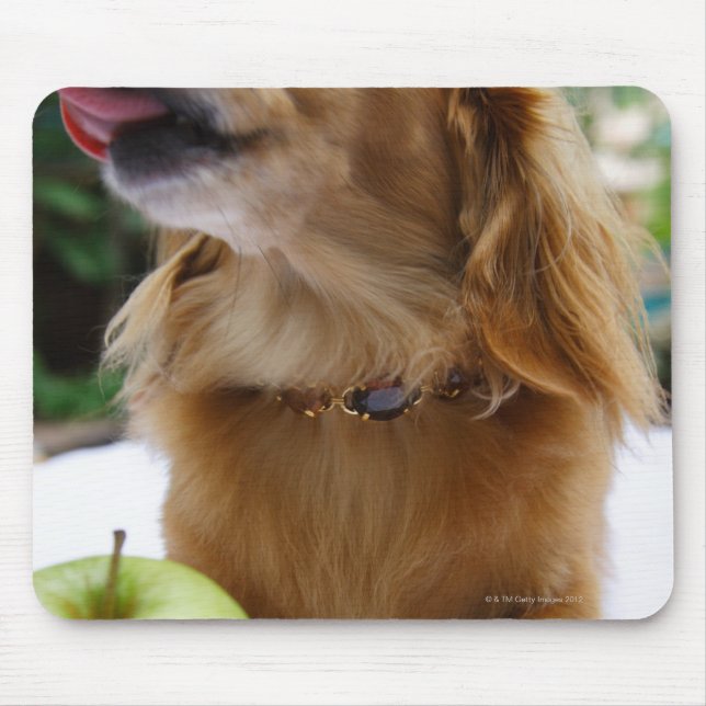 Alfombrilla De Ratón Singapur 5 (Frente)