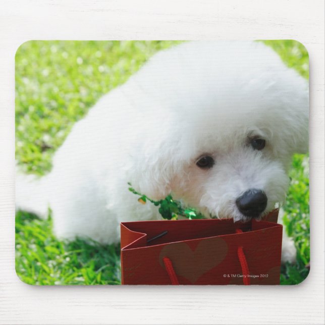 Alfombrilla De Ratón Singapur 7 (Frente)