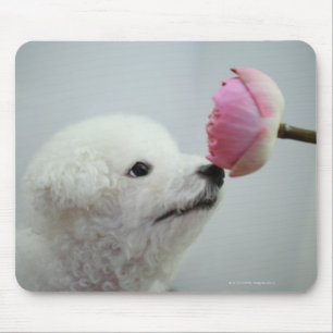 Alfombrilla De Ratón Singapur 9