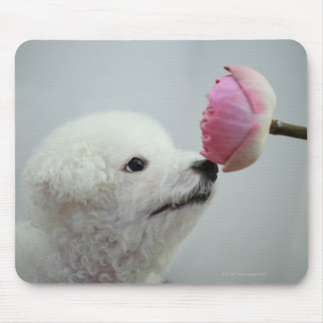 Alfombrilla De Ratón Singapur 9 (Frente)