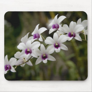 Alfombrilla De Ratón Singapur (Sanskrit por Ciudad León). Nacional 2