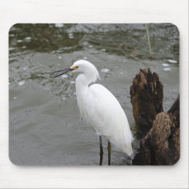 Alfombrilla De Ratón Singing Snowy Egret