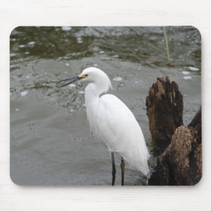 Alfombrilla De Ratón Singing Snowy Egret