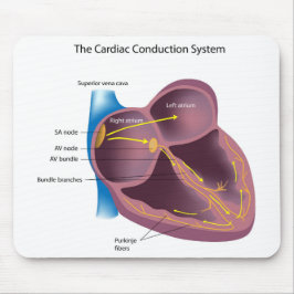 Alfombrilla De Ratón Sistema cardiaco Mousepad de la conducción