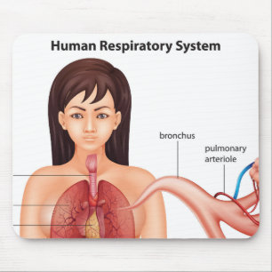 Alfombrilla De Ratón Sistema respiratorio femenino