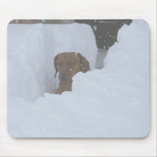 Alfombrilla De Ratón Sitiado por la nieve
