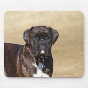 Alfombrilla De Ratón Situación Brindle del perro del boxeador