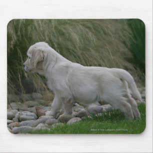 Alfombrilla De Ratón Situación del perrito del golden retriever