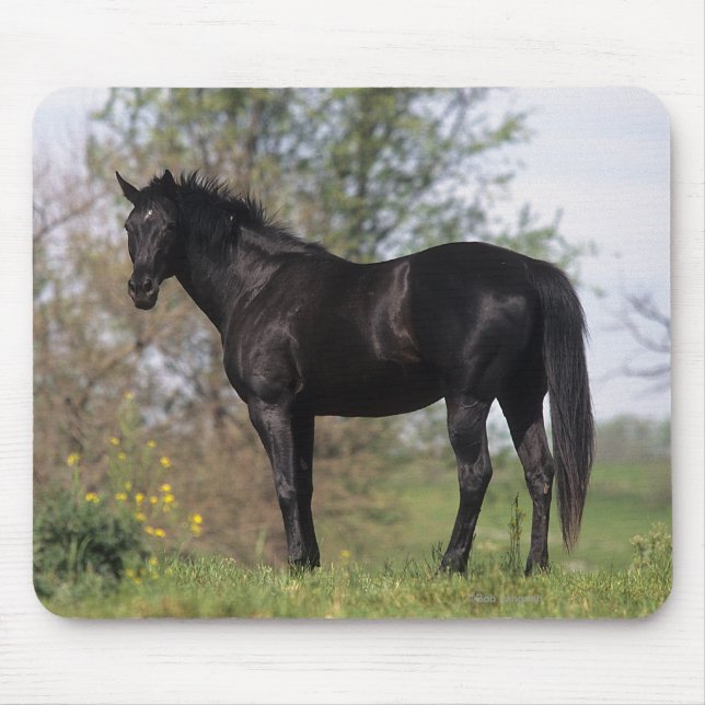 Alfombrilla De Ratón Situación excelente del caballo (Frente)