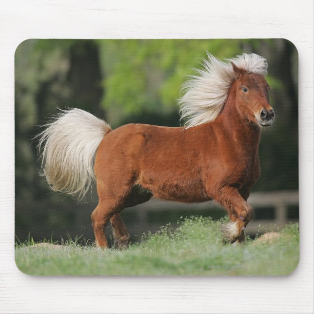 Alfombrilla De Ratón Situación miniatura del caballo (Frente)