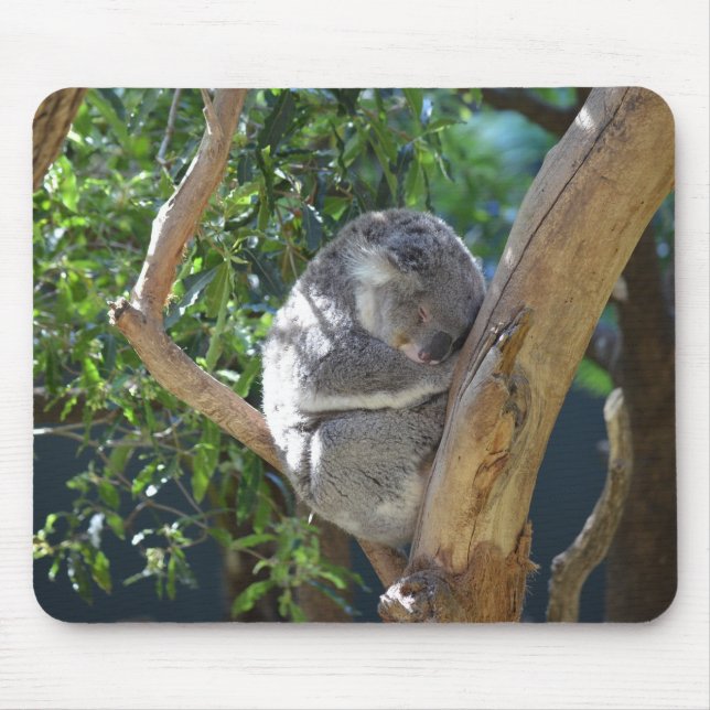 Alfombrilla De Ratón Sleeping Koala Photo (Frente)