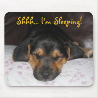 sleepingjackson, Shhh… ¡Estoy durmiendo!