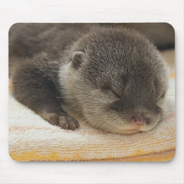 Alfombrilla De Ratón Sleepy Otter (Frente)