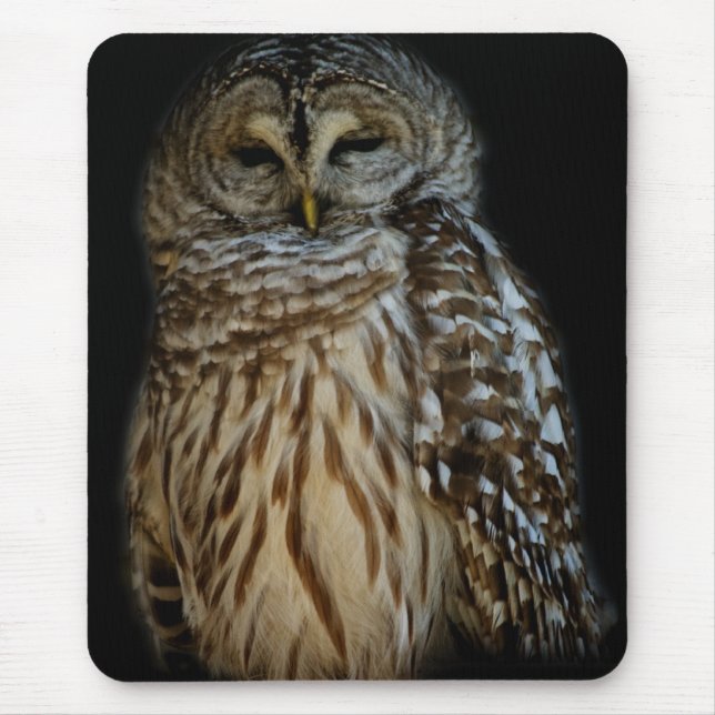 Alfombrilla De Ratón Sleepy Owl Mousepad (Frente)