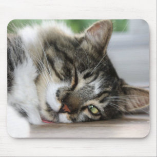 Alfombrilla De Ratón Sleepy Zorro Kitty Mouse Pad