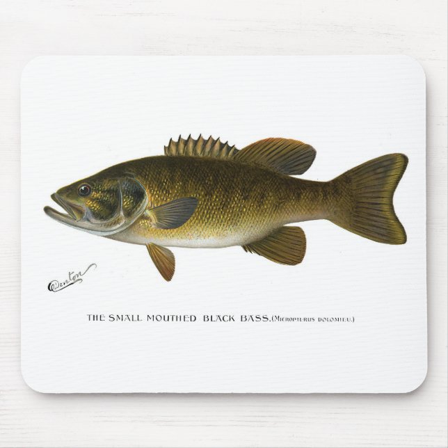 Alfombrilla De Ratón Smallmouth bass (Frente)