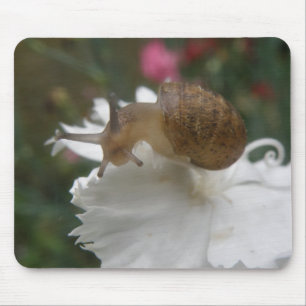 Alfombrilla De Ratón Snail de jardín y Mousepad de carnación blanca