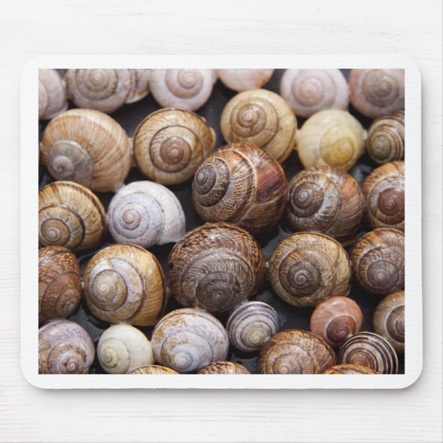 Alfombrilla De Ratón Snail Shells (Frente)