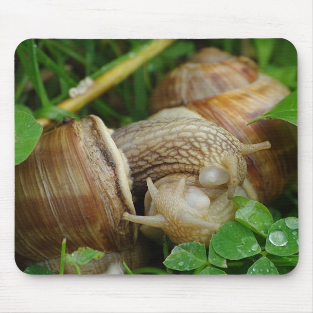 Alfombrilla De Ratón Snails Love Kiss Mousepad (Frente)