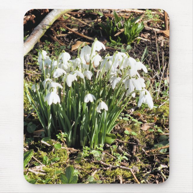 ALFOMBRILLA DE RATÓN SNOWDROPS (Frente)