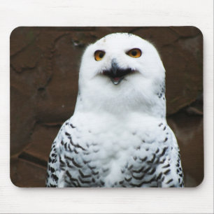 Alfombrilla De Ratón Snowley Owl mpcn