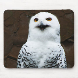 Alfombrilla De Ratón Snowley Owl mpcna