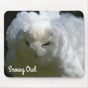 Alfombrilla De Ratón Snowy Owl