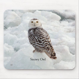 Alfombrilla De Ratón Snowy Owl Mousepad