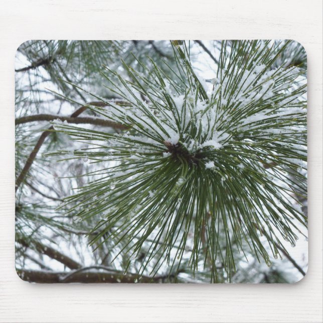 Alfombrilla De Ratón Snowy Pine Needles Winter Nature Photography (Frente)