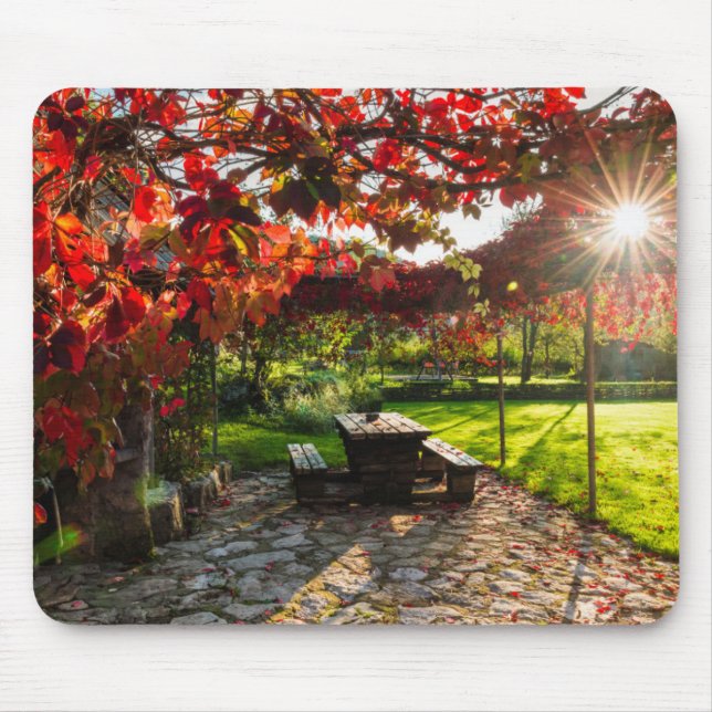 Alfombrilla De Ratón Sol a través de hojas de otoño, Croacia (Frente)
